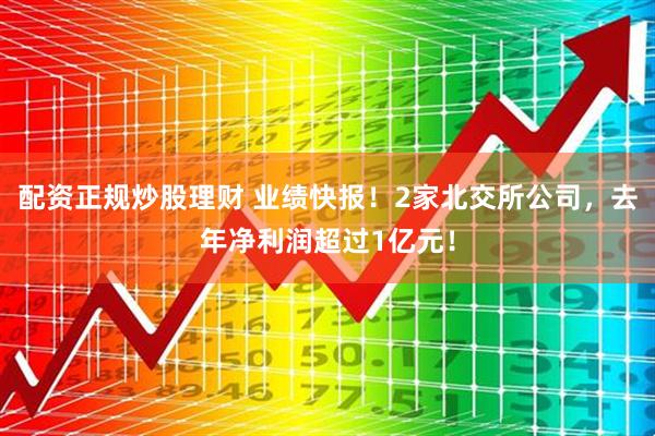 配资正规炒股理财 业绩快报！2家北交所公司，去年净利润超过1亿元！