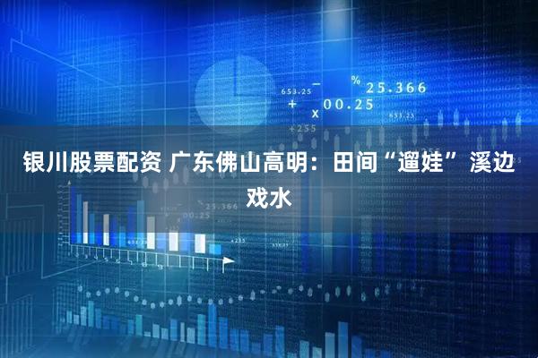 银川股票配资 广东佛山高明：田间“遛娃” 溪边戏水