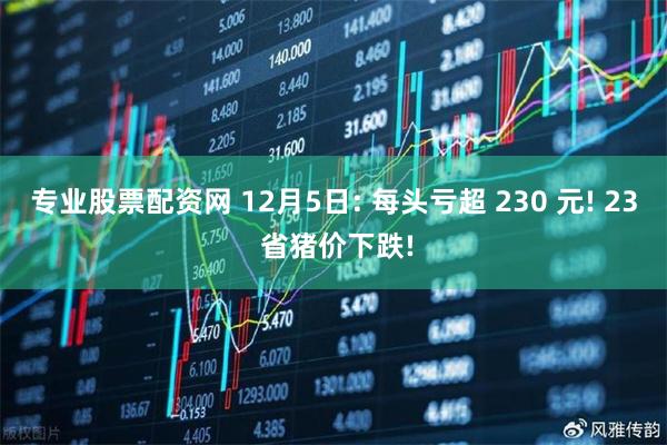 专业股票配资网 12月5日: 每头亏超 230 元! 23 省猪价下跌!