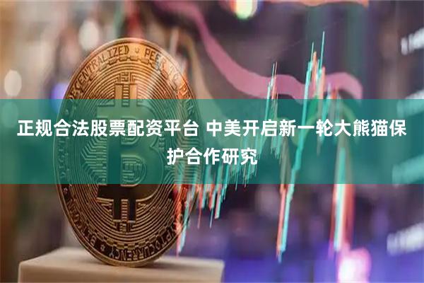 正规合法股票配资平台 中美开启新一轮大熊猫保护合作研究