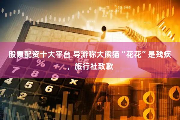 股票配资十大平台 导游称大熊猫“花花”是残疾，旅行社致歉