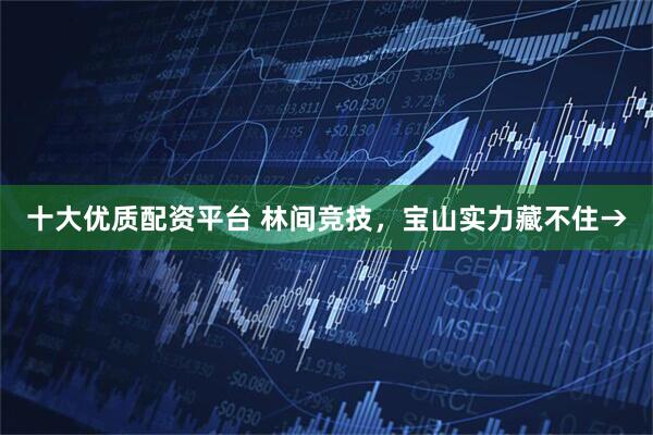 十大优质配资平台 林间竞技，宝山实力藏不住→