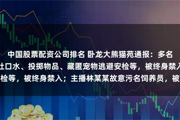 中国股票配资公司排名 卧龙大熊猫苑通报：多名游客向大熊猫活动场内吐口水、投掷物品、藏匿宠物逃避安检等，被终身禁入；主播林某某故意污名饲养员，被终身禁入
